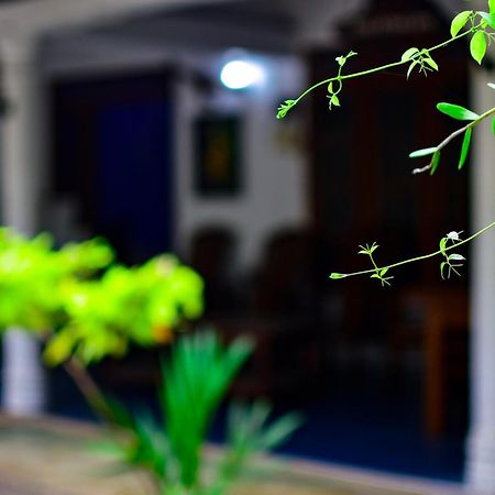 Tourist Holiday Inn Dambulla Εξωτερικό φωτογραφία
