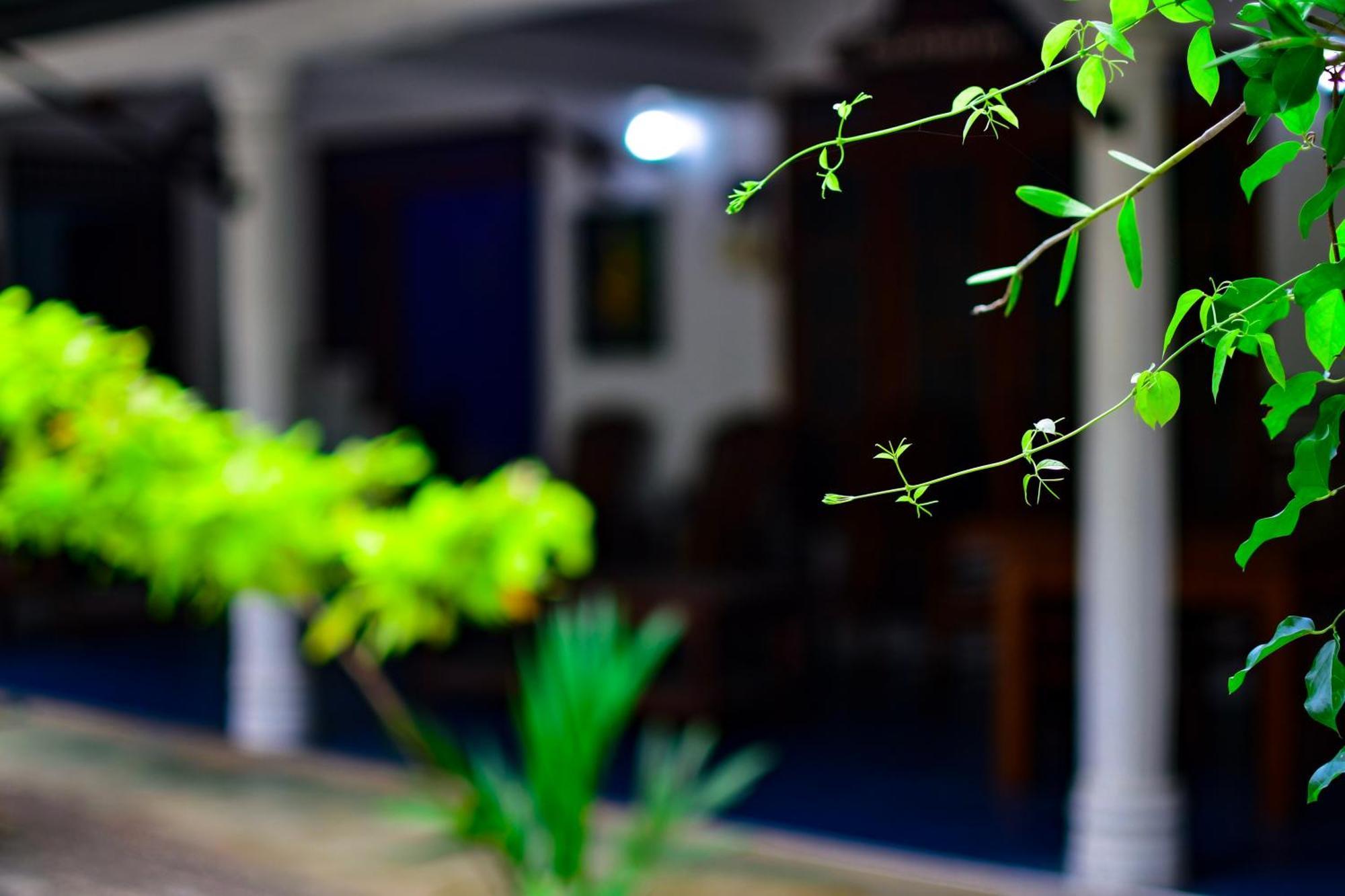 Tourist Holiday Inn Dambulla Εξωτερικό φωτογραφία